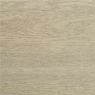 Antibacterial Coating