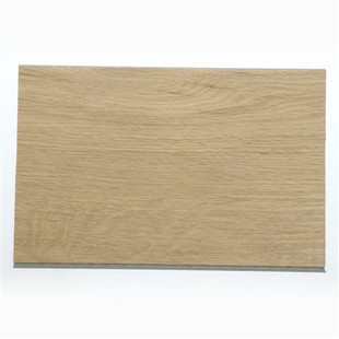 Scratch Resistant Coating